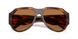 306373 - Tortoise - Bronze