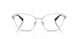 6001 - Silver