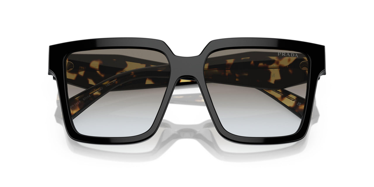 1AB0A7 - Black - Grey Gradient