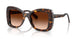 109474 - Tortoise - Gradient Brown