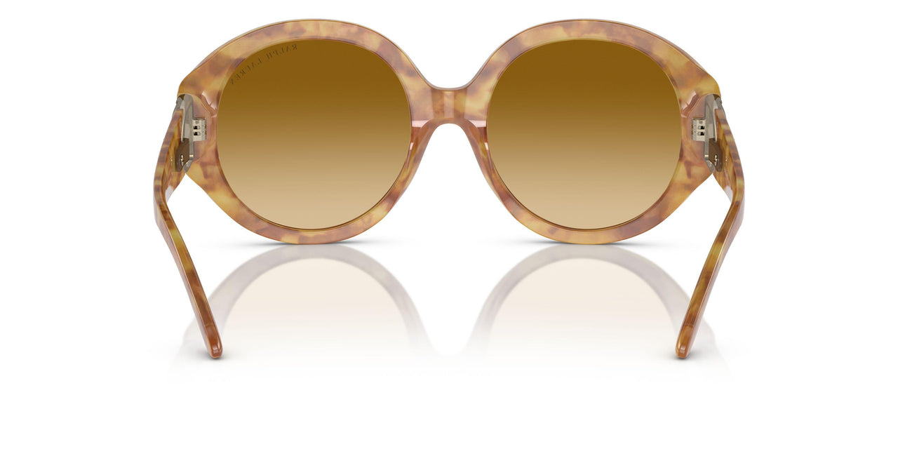 60832L - Tortoise - Gradient Yellow