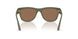318573 - Green - Dark Brown