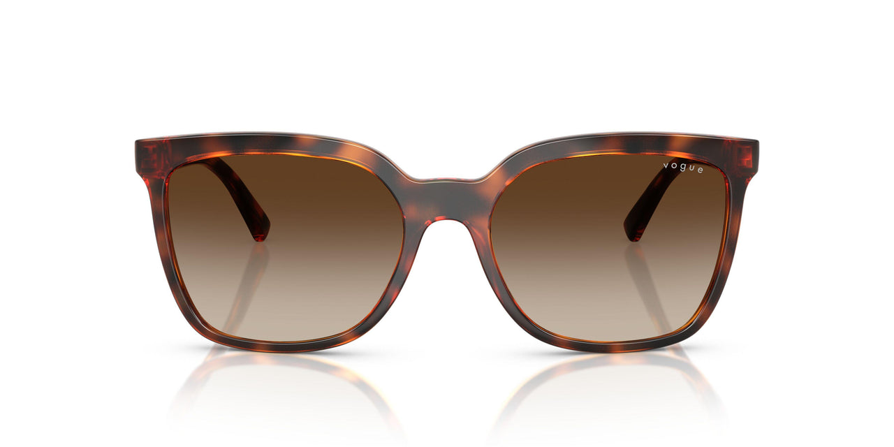 W65613 - Brown - Gradient Brown