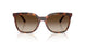 W65613 - Brown - Gradient Brown