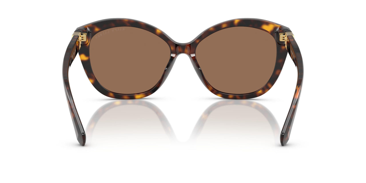 500373 - Brown - Brown