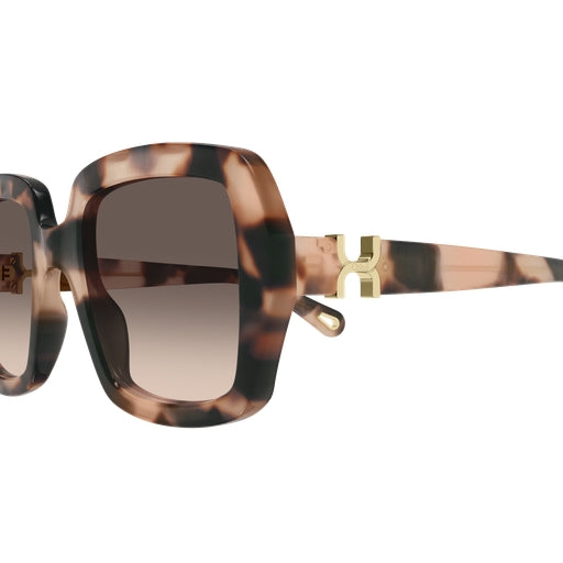 006 - Havana - Brown