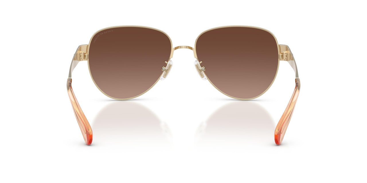 900587 - Gold - Brown Gradient Polar