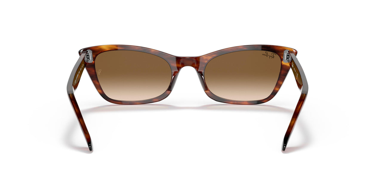 954/51 - Havana - Clear Gradient Brown