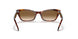 954/51 - Havana - Clear Gradient Brown