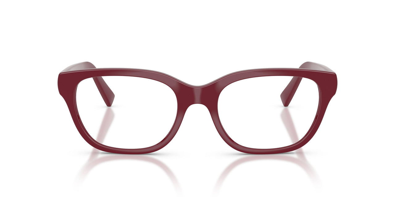 25R1O1 - Red