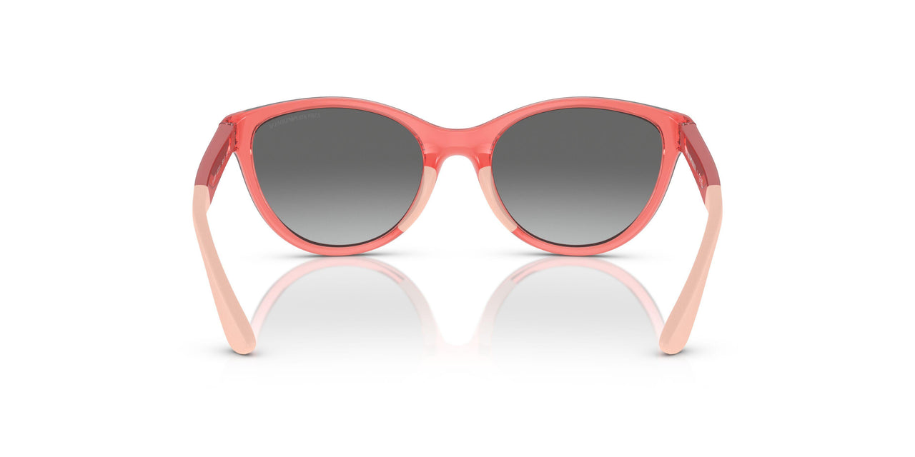 537711 - Pink - Gradient Grey