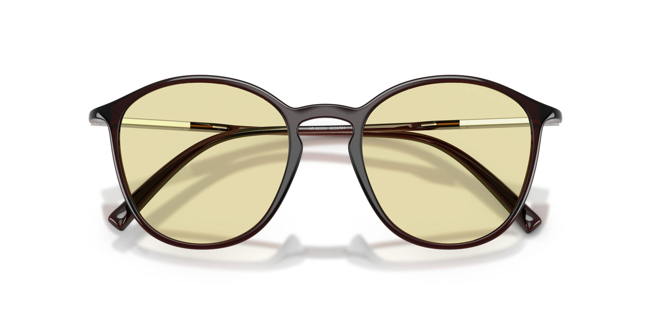 6239M4 - Brown - Photochromatic Brown