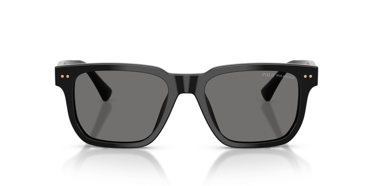 500181 - Black - Polarized Dark Grey