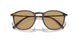 508973 - Tortoise - Dark Brown