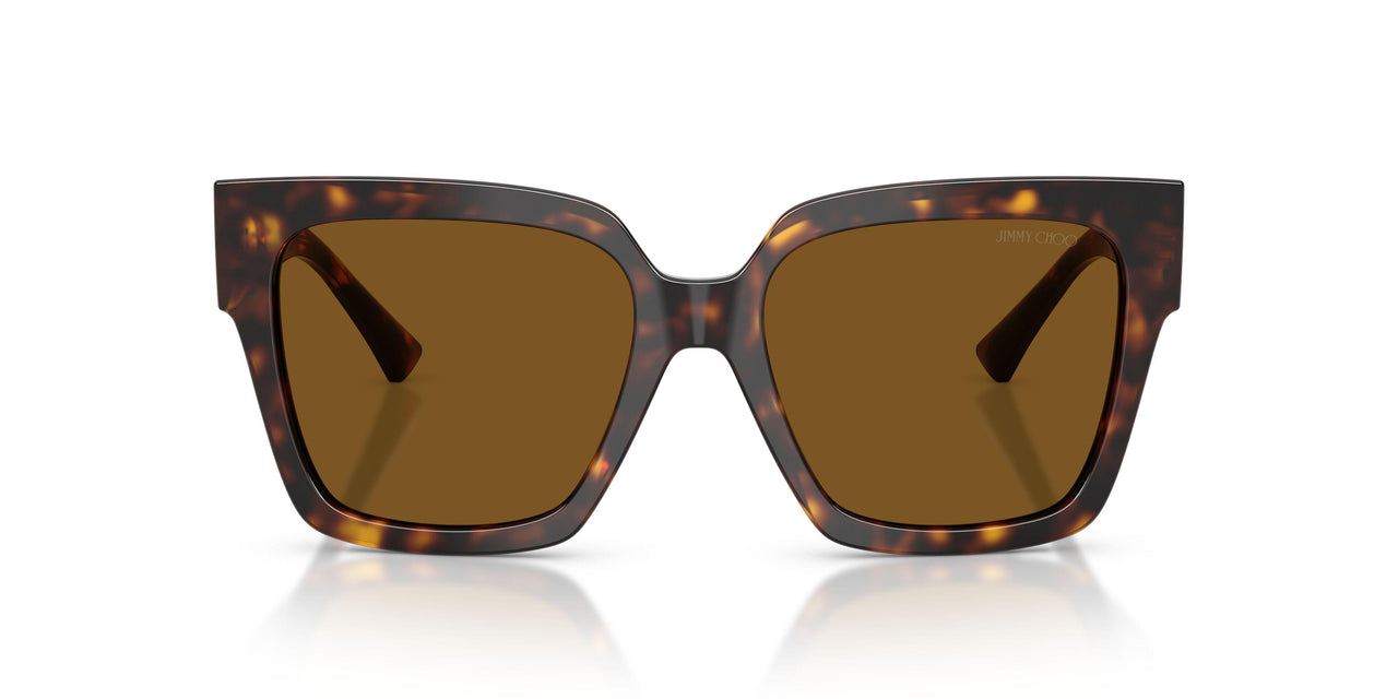 500283 - Tortoise - Polarized Brown