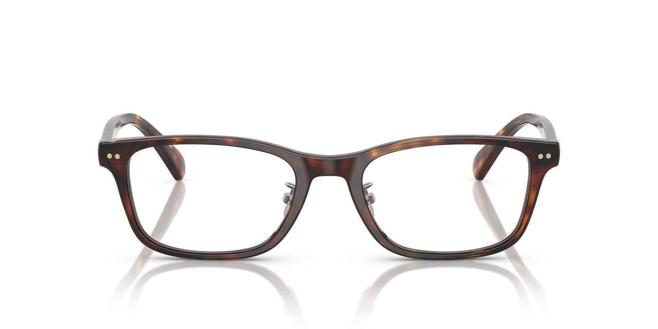 6137 - Tortoise