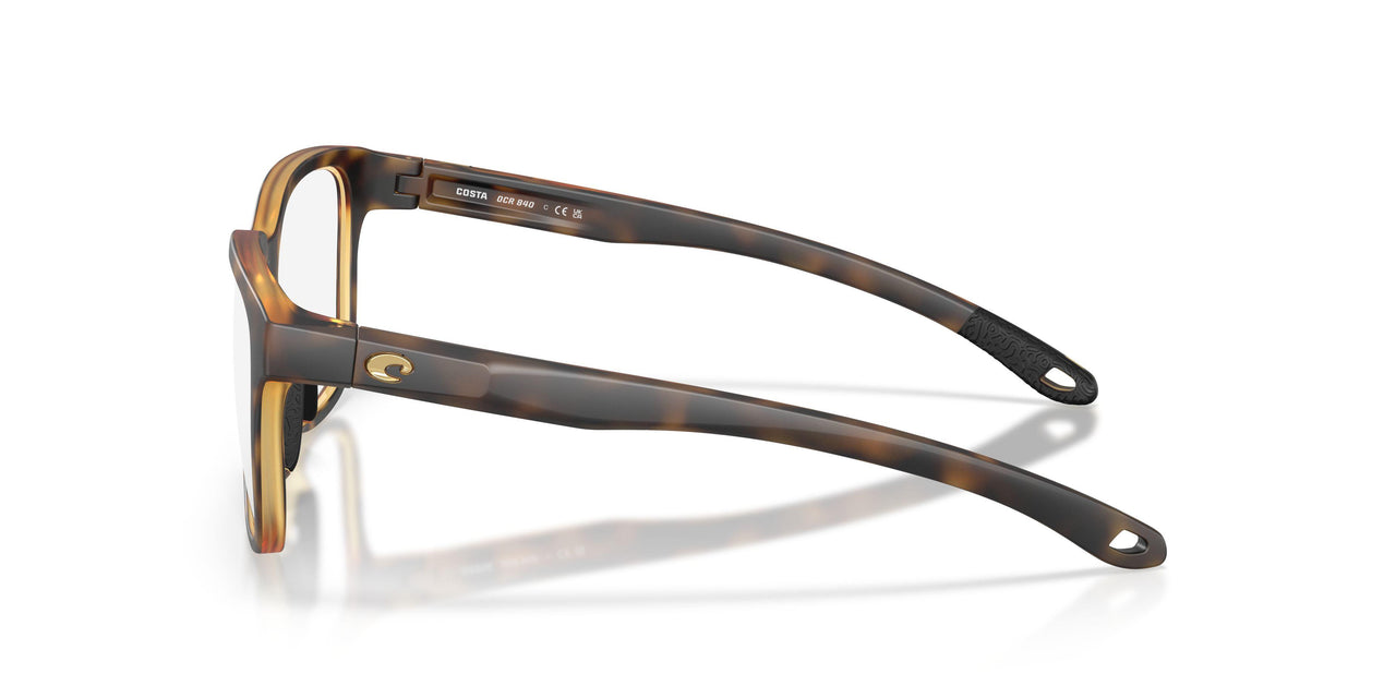 803202 - Tortoise