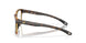 803202 - Tortoise