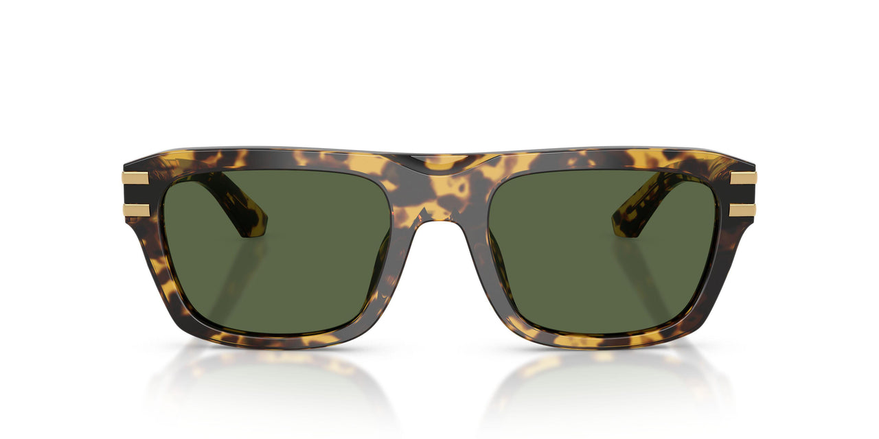 333071 - Tortoise - Dark Green