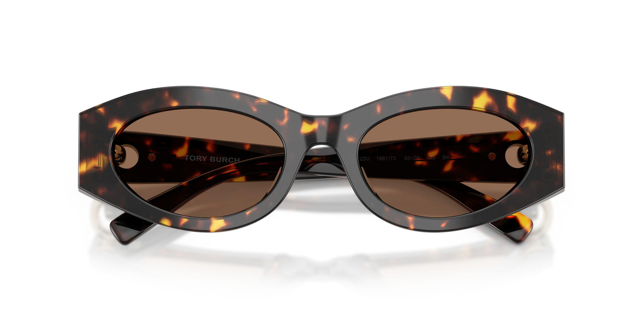 198173 - Tortoise - Brown