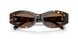 198173 - Tortoise - Brown