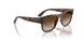 271813 - Brown - Gradient Brown