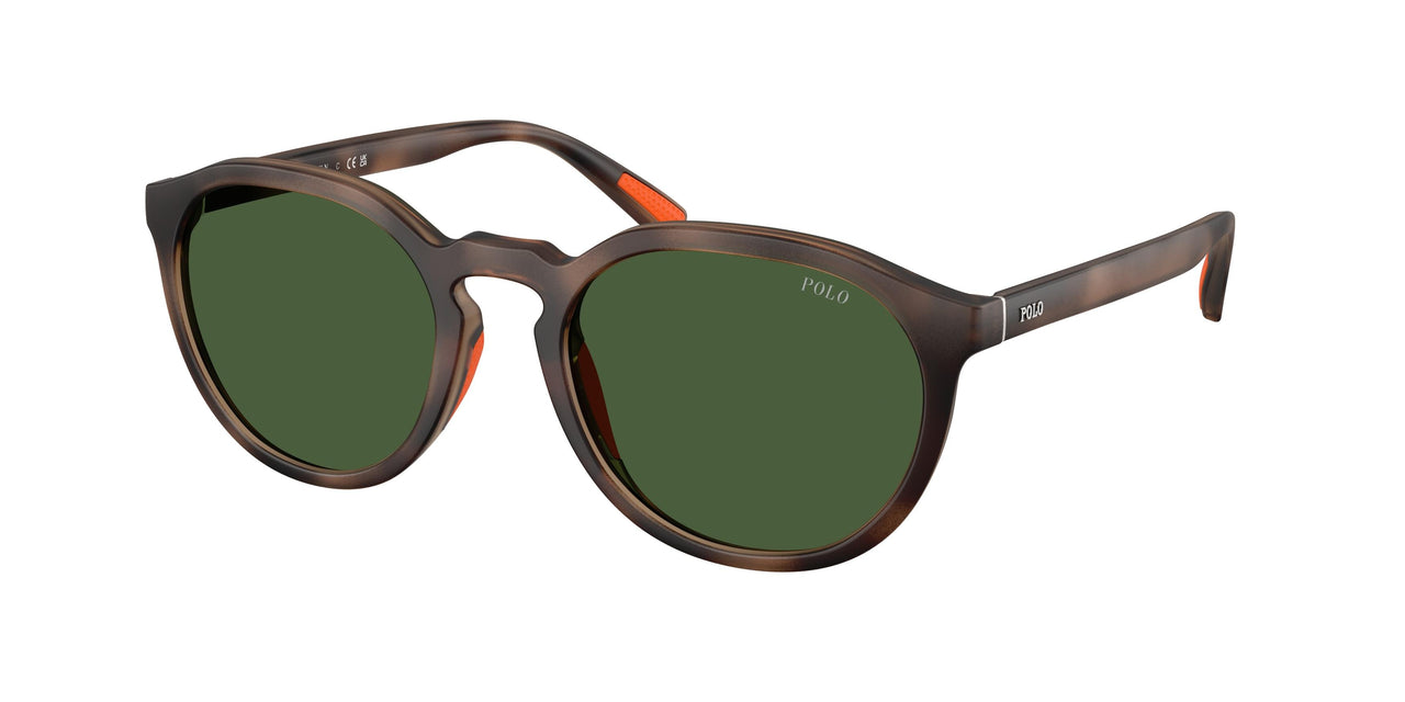 597471 - Tortoise - Bottle Green