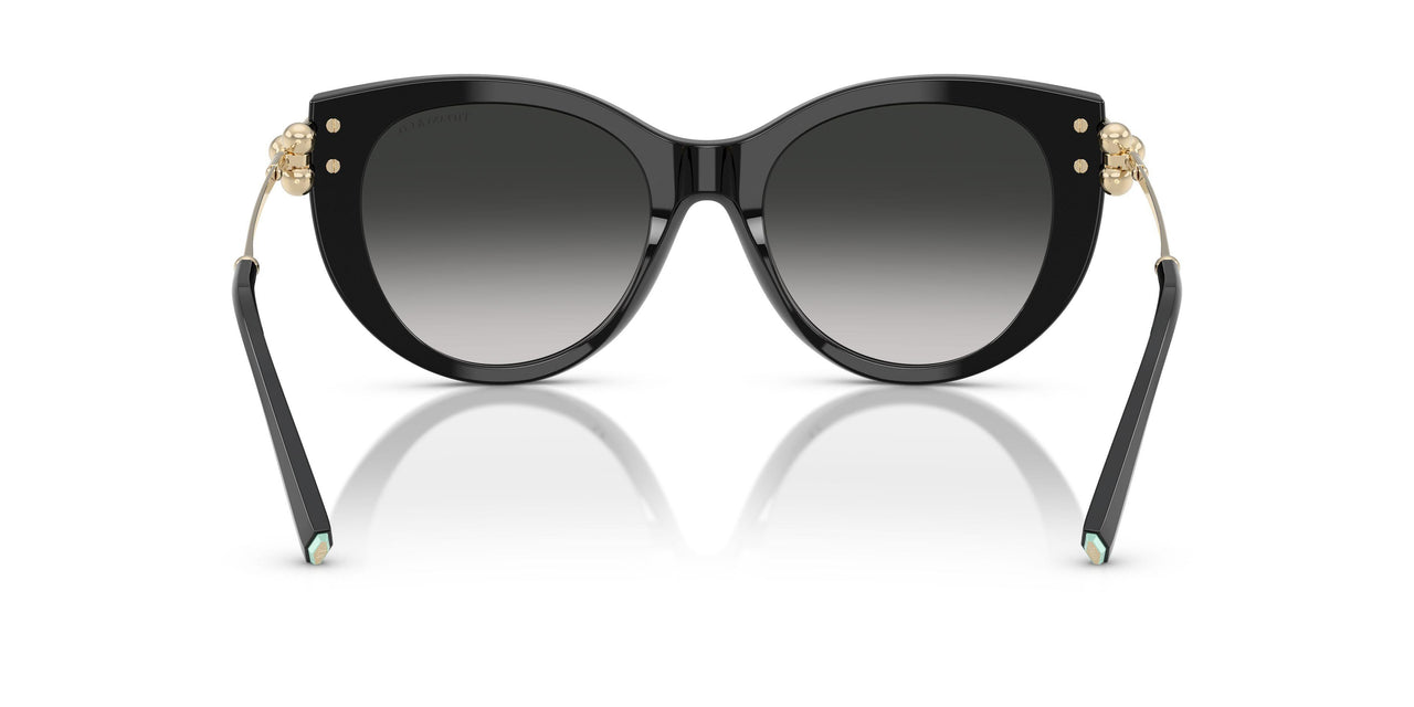 80013C - Black - Gray Gradient