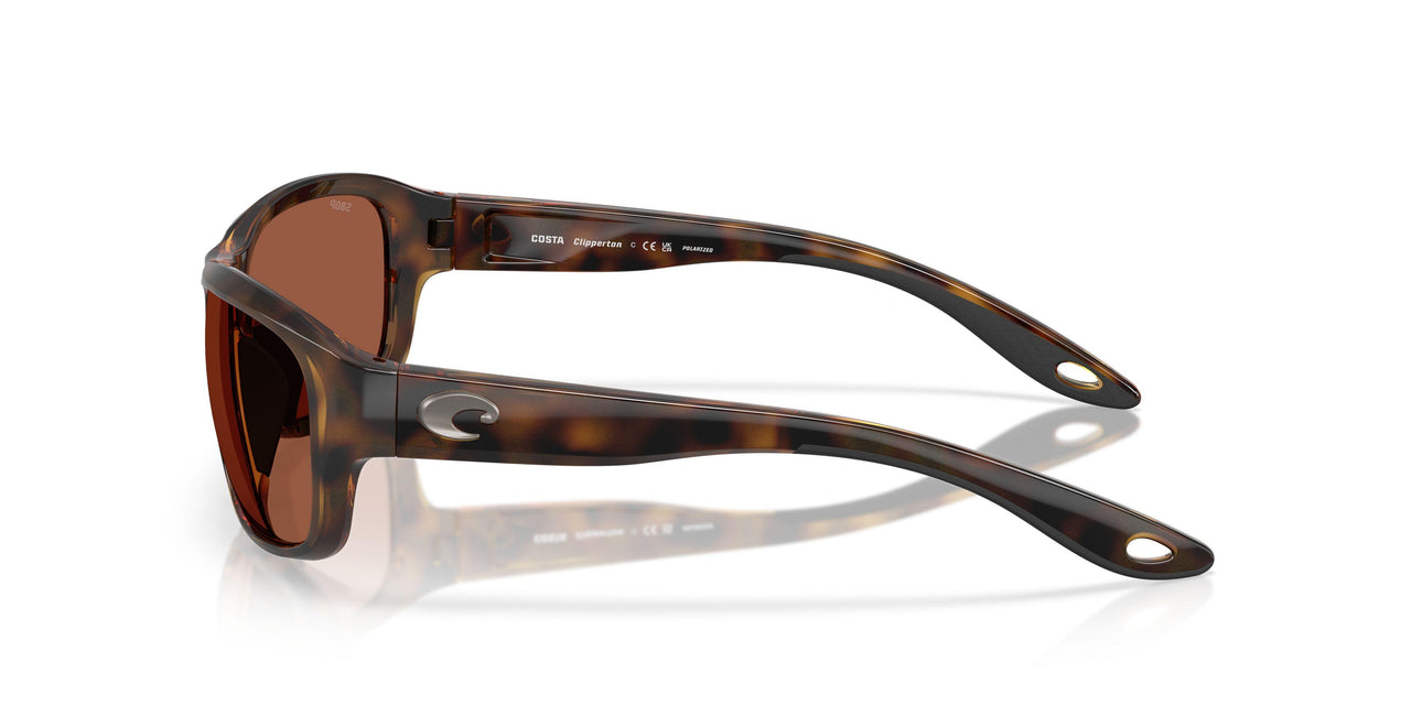 911909 - Tortoise - Copper
