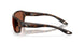 911909 - Tortoise - Copper