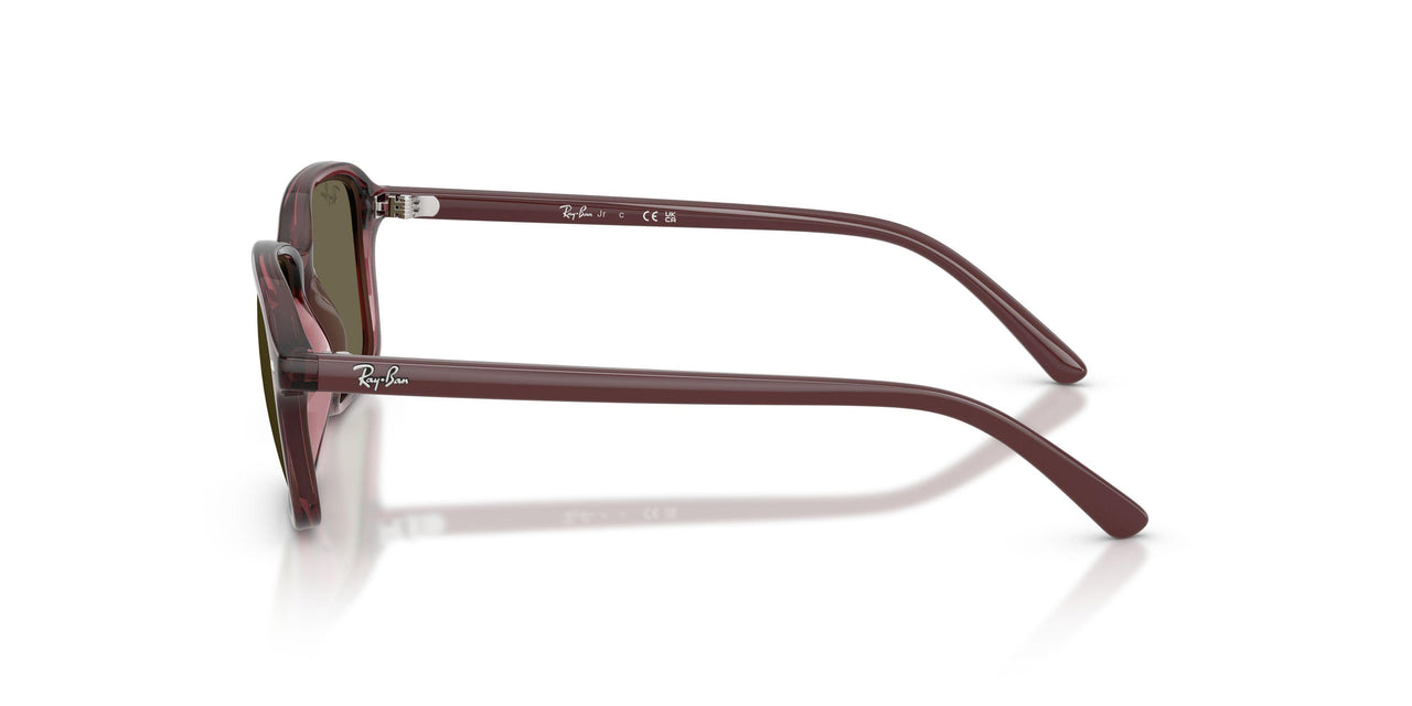 7197/3 - Violet - Brown