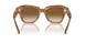 140351 - Tortoise - Clear & Brown