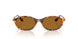 320083 - Tortoise - Bronze Polar
