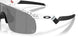 901039 - White - Prizm Black