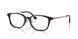 5026 - Tortoise