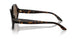 500373 - Havana - Dark Brown