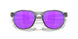 912607 - Grey - Prizm Violet