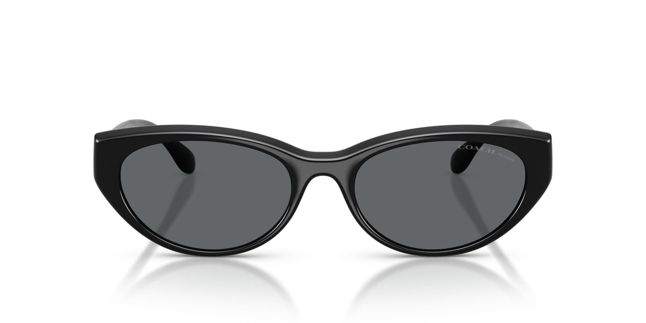 500281 - Black - Grey Solid Polar