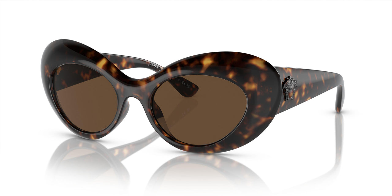 108/73 - Tortoise - Dark Brown