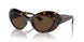 108/73 - Tortoise - Dark Brown