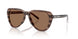 203673 - Brown - Dark Brown