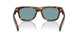 15W04D - Tortoise - Green Polar
