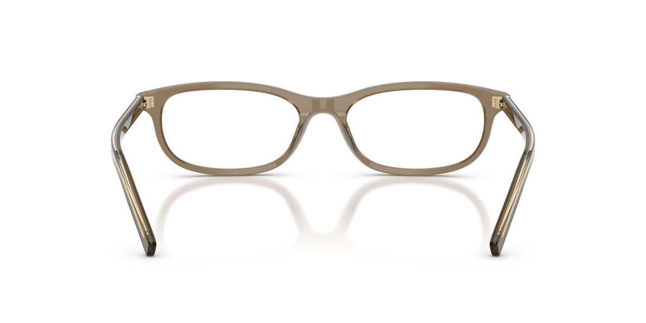 18T1O1 - Brown