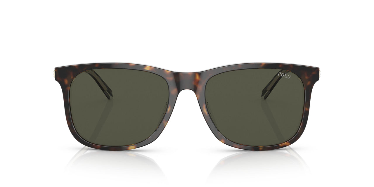 602782 - Havana - Dark Green