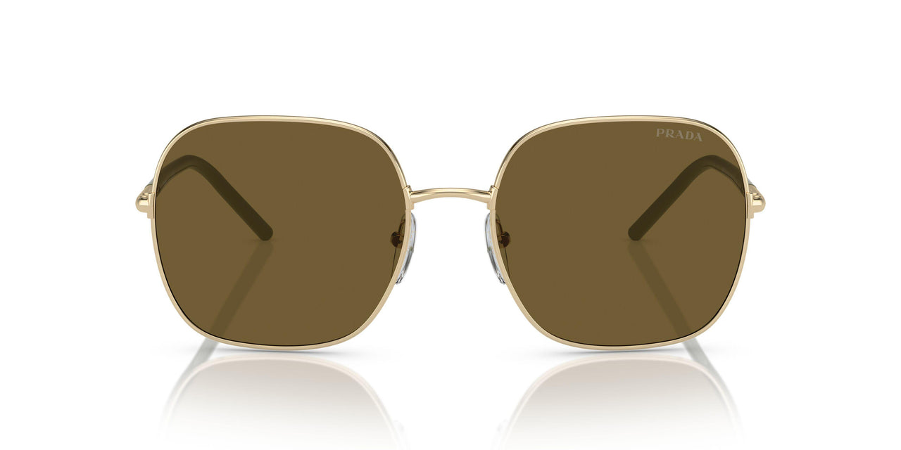 ZVN01T - Gold - Dark Brown