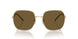 ZVN01T - Gold - Dark Brown