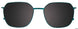 60 - Green Tortoise & Green