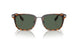 300271 - Brown - Dark Green