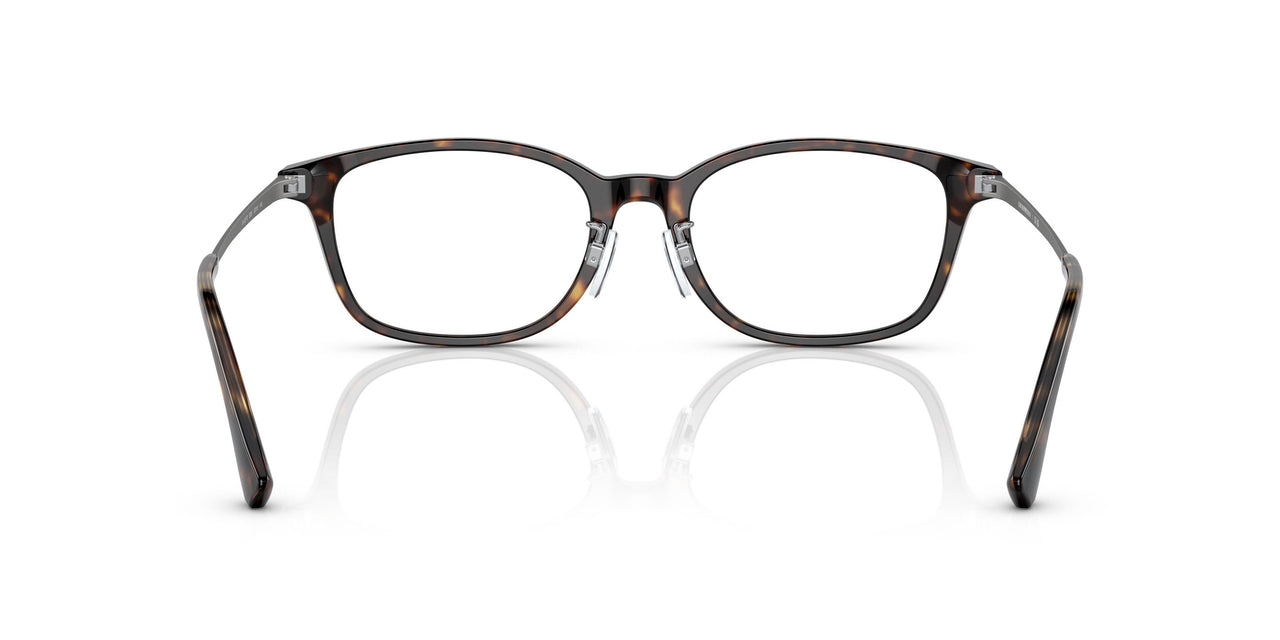 5026 - Tortoise