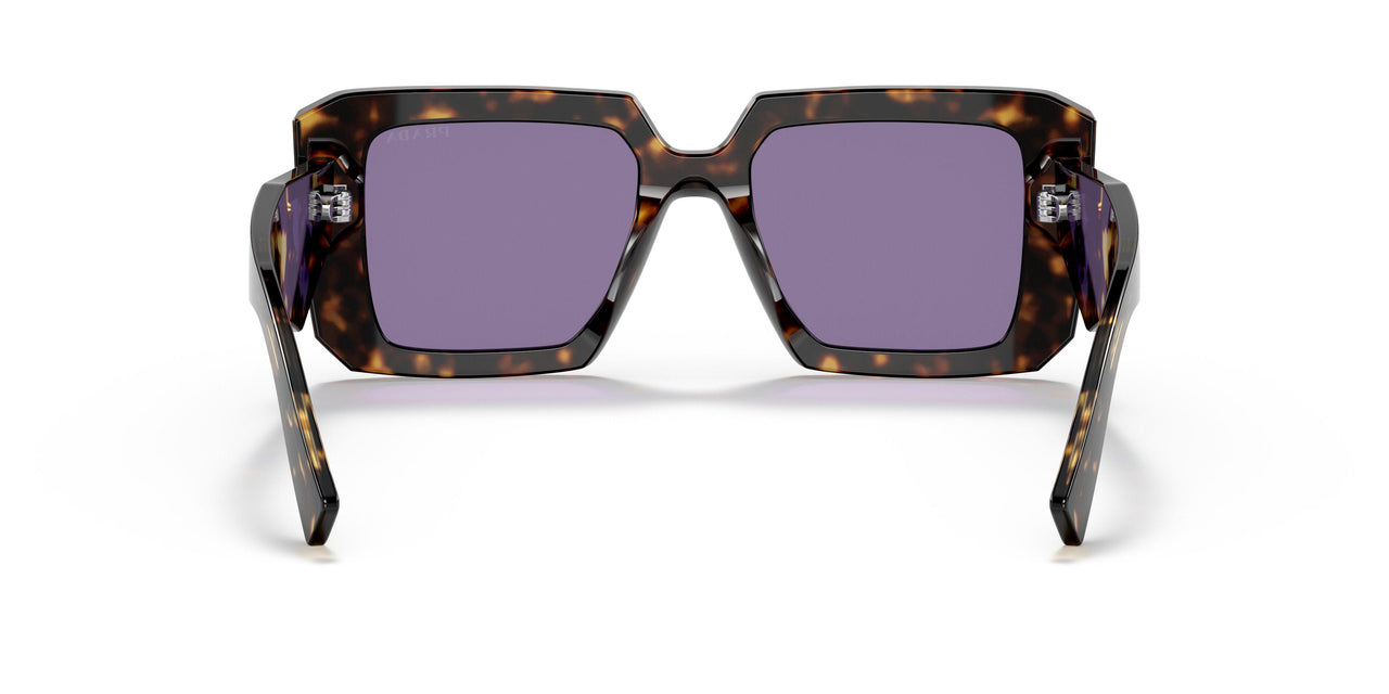 2AU05Q - Havana - Violet Mirror Internal Silver